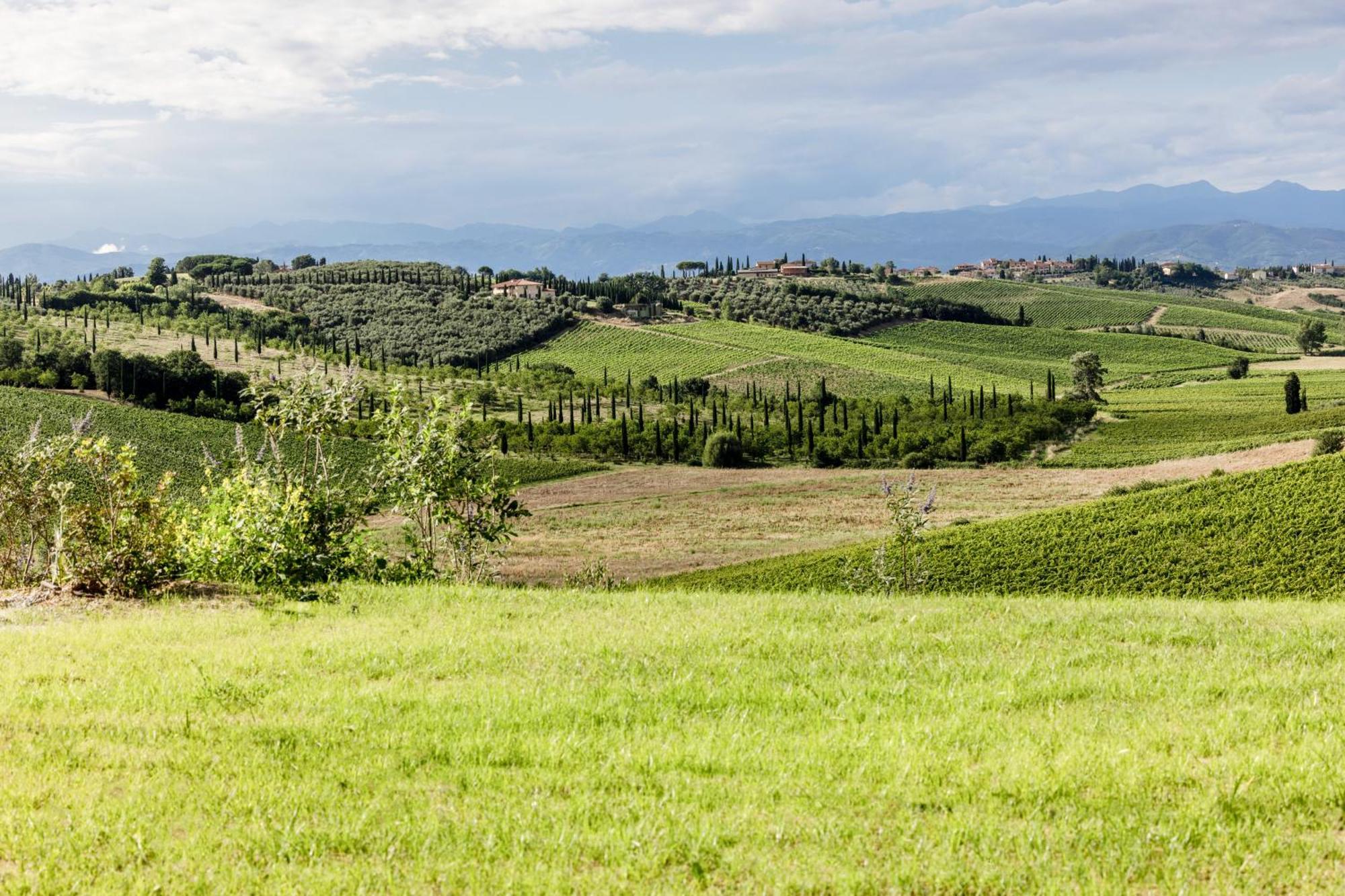 Colle Alberti Country House Черето Гуиди Екстериор снимка
